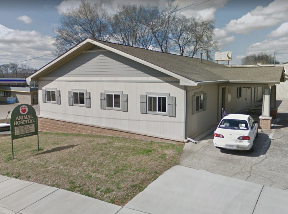 Best Animal Hospital In Clarksville, TN 37040 Animal Hospital Of